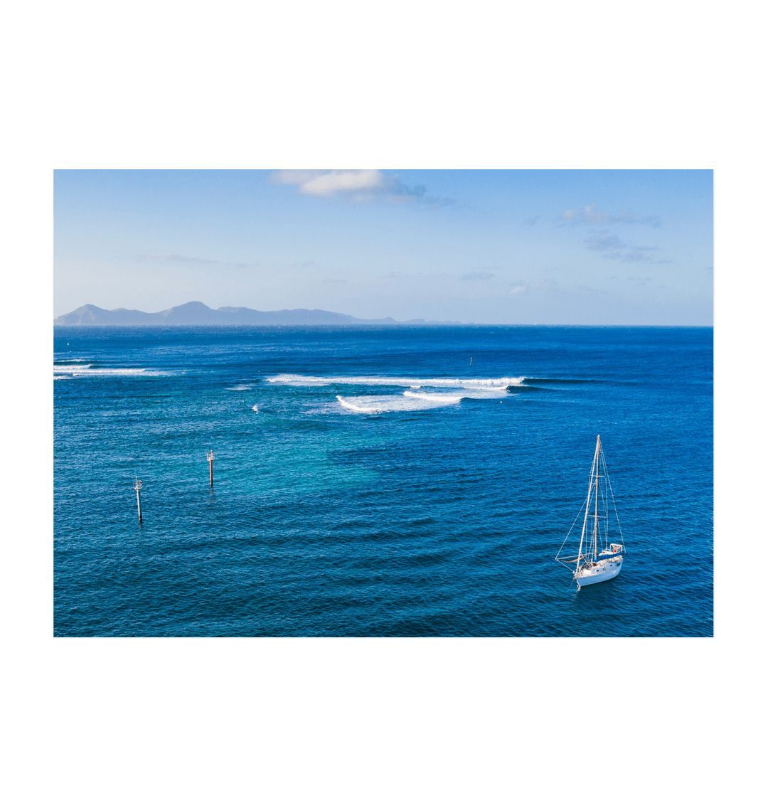 White St Vincent Surf Check Print