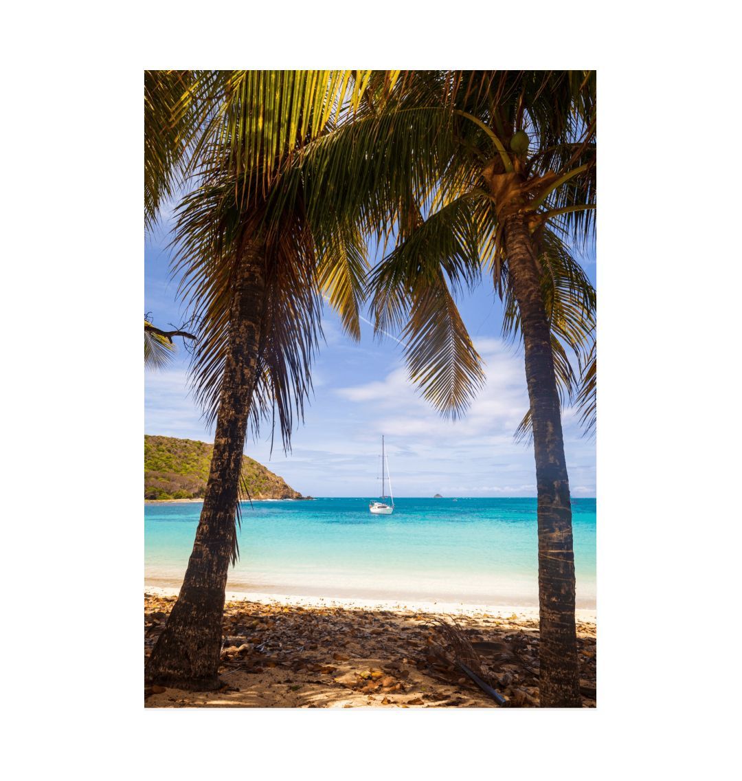 White Grenadian Paradise Print